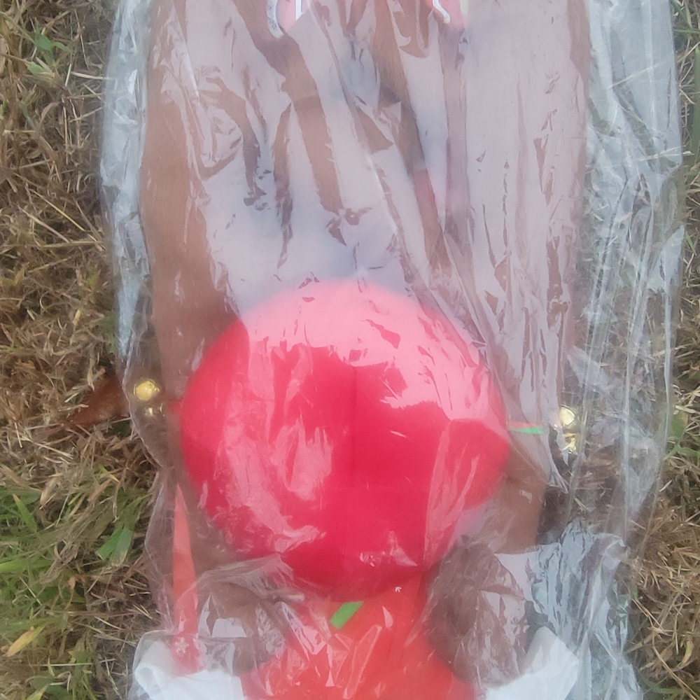 Brown and Red Plush Toy